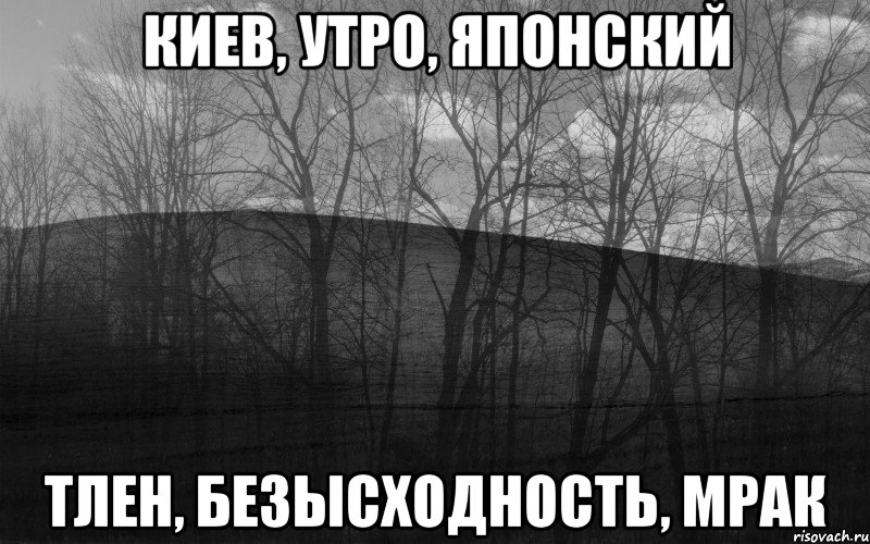 Киев, утро, японский Тлен, безысходность, мрак, Мем безысходность лес