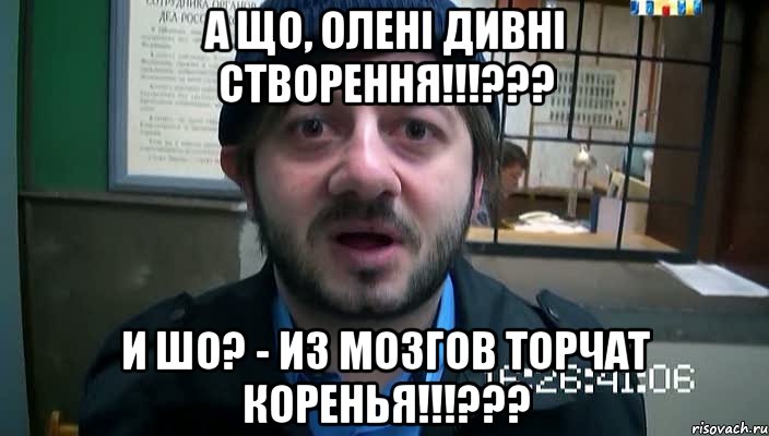 А що, олені дивні створення!!!??? И шо? - Из мозгов торчат коренья!!!???, Мем Бородач