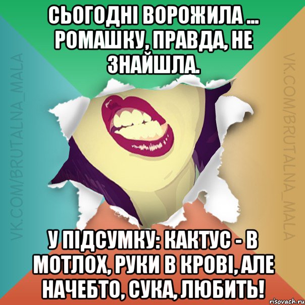 Сьогодні ворожила ... Ромашку, правда, не знайшла. У підсумку: кактус - в мотлох, руки в крові, але начебто, сука, любить!