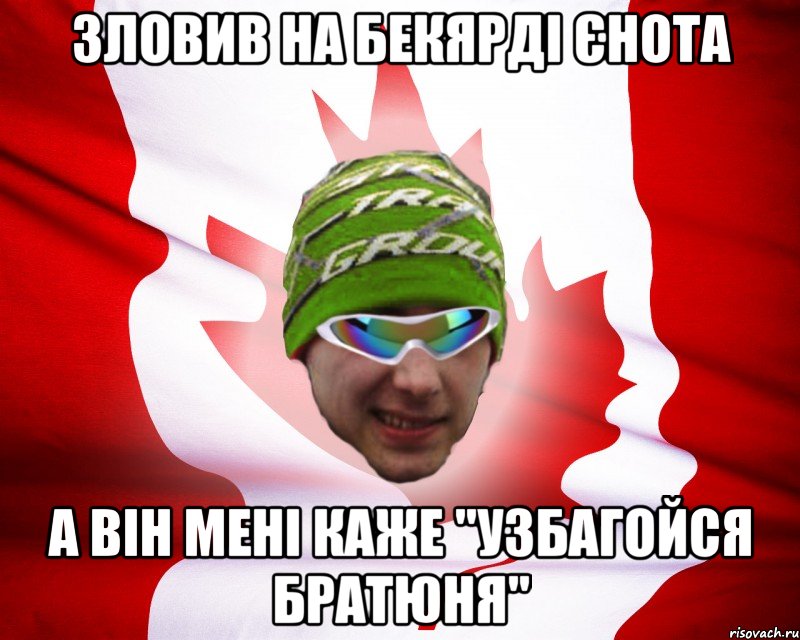 зловив на бекярді єнота а він мені каже "узбагойся братюня", Мем canados