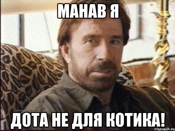 манав я дота не для котика!, Мем чак норрис