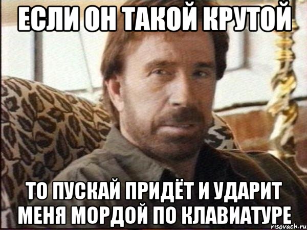 если он такой крутой то пускай придёт и ударит меня мордой по клавиатуре, Мем чак норрис