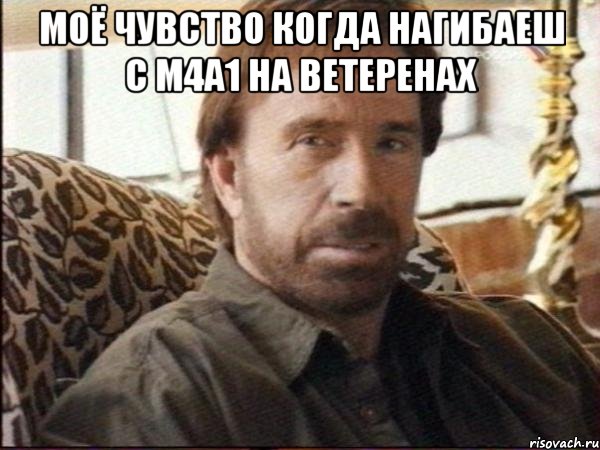 моё чувство когда нагибаеш с m4a1 на ветеренах , Мем чак норрис