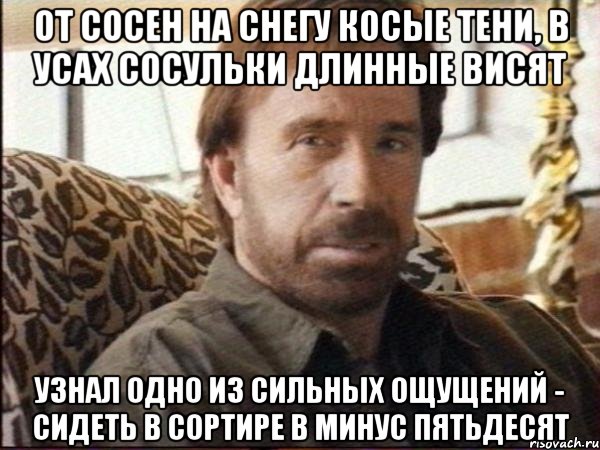 от сосен на снегу косые тени, в усах сосульки длинные висят узнал одно из сильных ощущений - сидеть в сортире в минус пятьдесят, Мем чак норрис