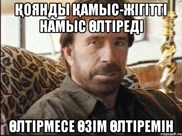 қоянды қамыс-жігітті намыс өлтіреді өлтірмесе өзім өлтіремін, Мем чак норрис
