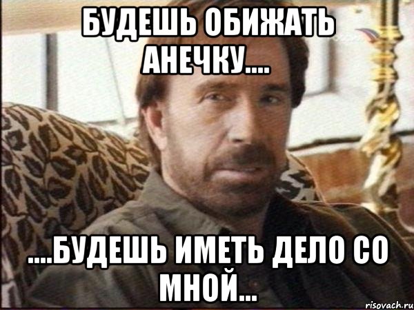 будешь обижать анечку.... ....будешь иметь дело со мной..., Мем чак норрис