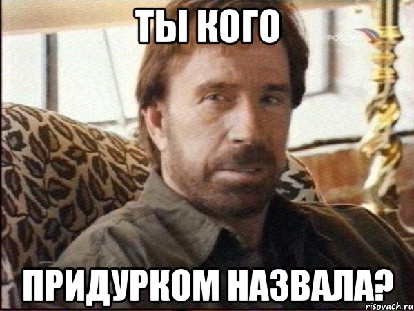 ты кого придурком назвала?, Мем чак норрис