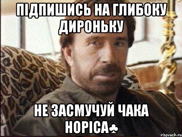 Підпишись на Глибоку Дироньку Не засмучуй Чака норіса♣, Мем чак норрис