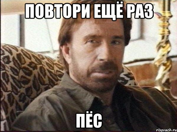 повтори ещё раз пёс, Мем чак норрис