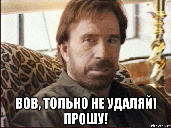  Вов, только не удаляй! Прошу!, Мем чак норрис