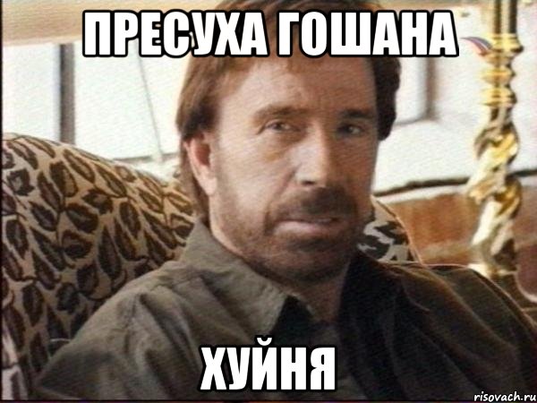 пресуха гошана хуйня, Мем чак норрис