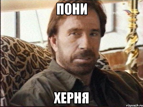 пони херня, Мем чак норрис