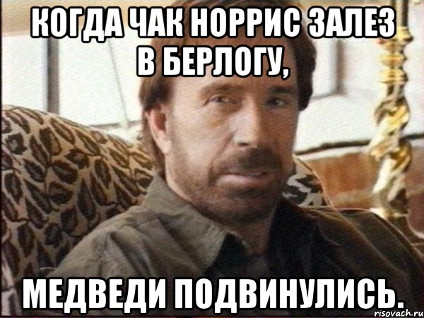Когда Чак Норрис залез в берлогу, медведи подвинулись., Мем чак норрис