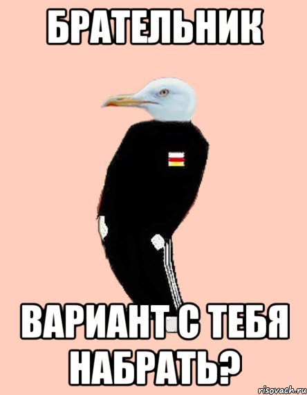 Брательник вариант с тебя набрать?