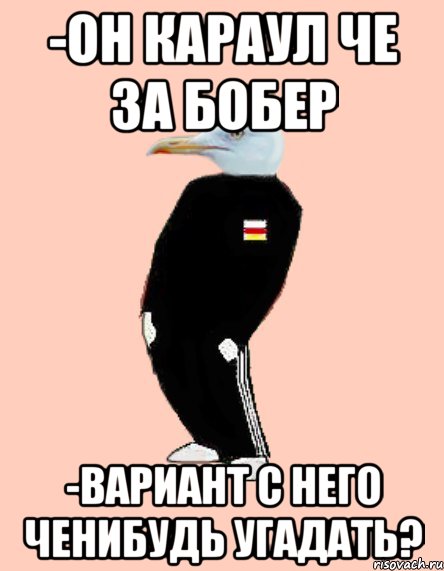 -он караул че за бобер -вариант с него ченибудь угадать?