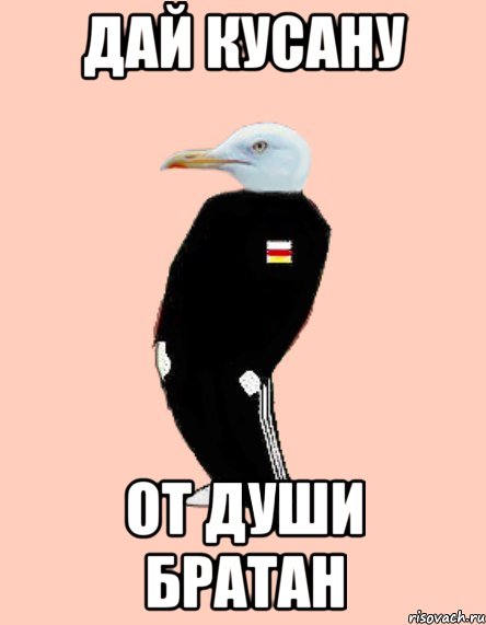 Дай кусану от души братан