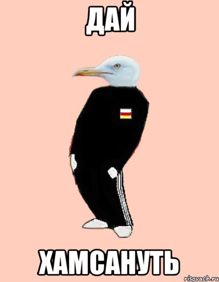 дай хамсануть