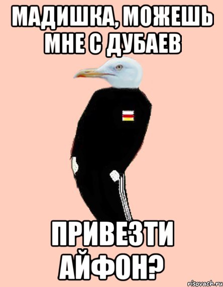 МАДИШКА, МОЖЕШЬ МНЕ С ДУБАЕВ ПРИВЕЗТИ АЙФОН?