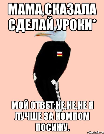 Мама,сказала сделай уроки* Мой ответ:Не,не,не я лучше за компом посижу.