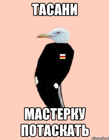 Тасани Мастерку потаскать
