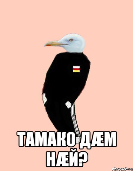  Тамако дæм нæй?