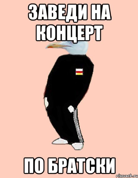 заведи на концерт по братски