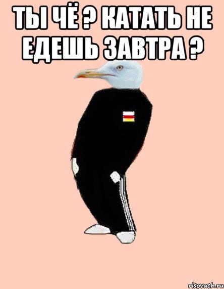 ТЫ чё ? катать не едешь завтра ? 