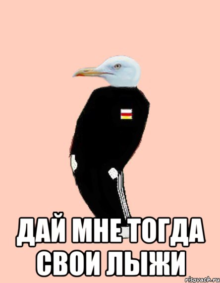  Дай мне Тогда Свои лыжи