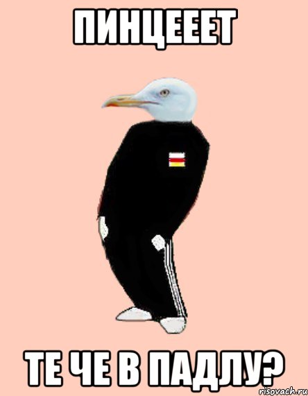 Пинцееет Те че в падлу?