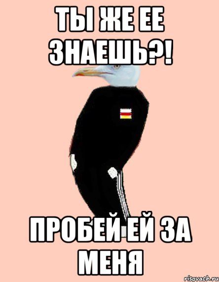 Ты же ее знаешь?! Пробей ей за меня
