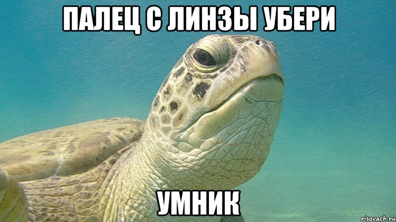 палец с линзы убери умник
