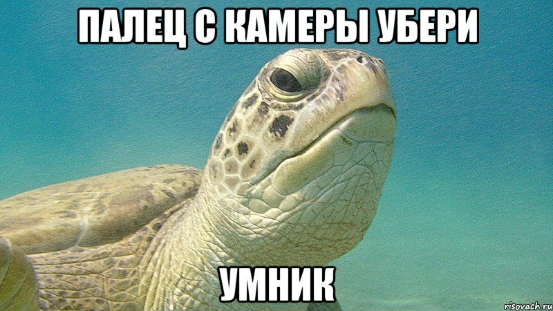 палец с камеры убери умник