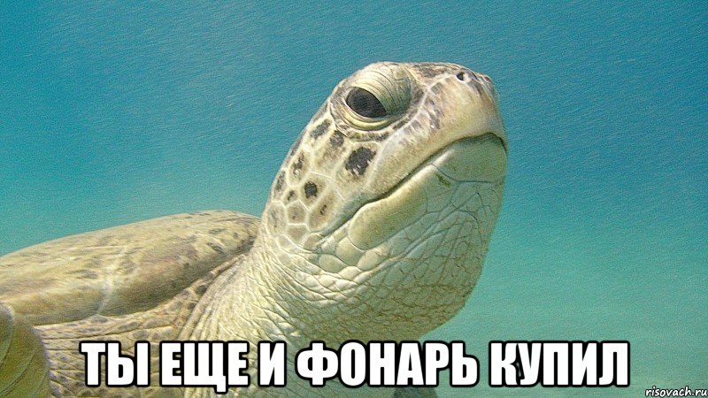  ты еще и фонарь купил