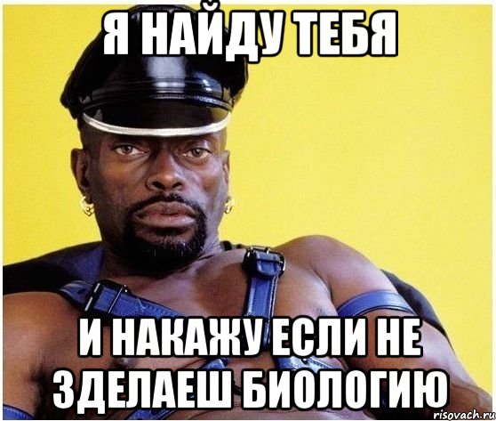 я найду тебя и НАКАЖУ если не зделаеш биологию, Мем Черный властелин