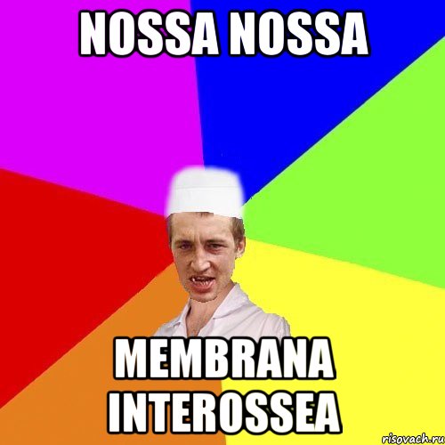 nossa nossa membrana interossea, Мем чоткий медик