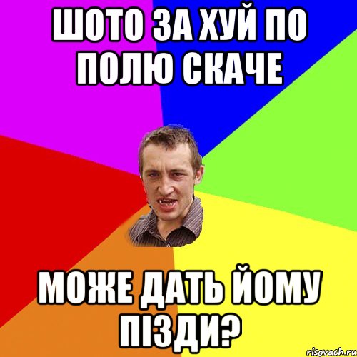 ШОТО ЗА ХУЙ ПО ПОЛЮ СКАЧЕ МОЖЕ ДАТЬ ЙОМУ ПІЗДИ?, Мем Чоткий паца