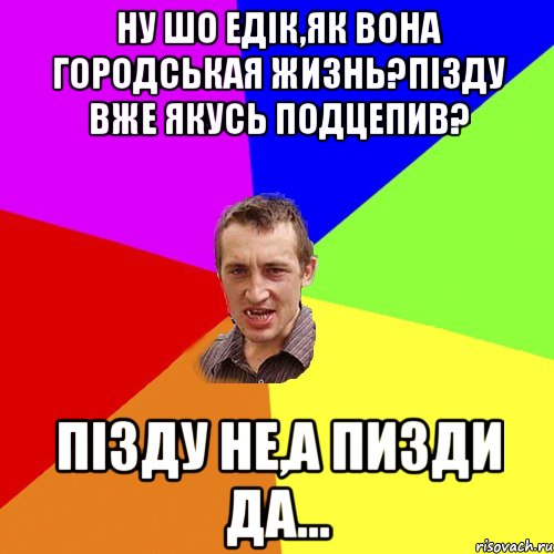 Ну шо Едік,як вона городськая жизнь?Пізду вже якусь подцепив? Пізду не,а пизди да..., Мем Чоткий паца