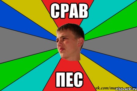 срав пес