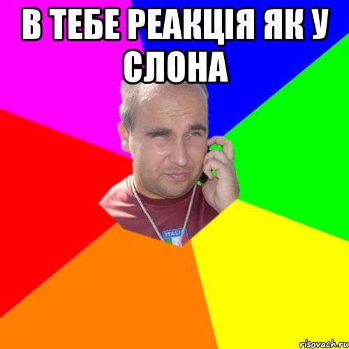 в тебе реакція як у слона 