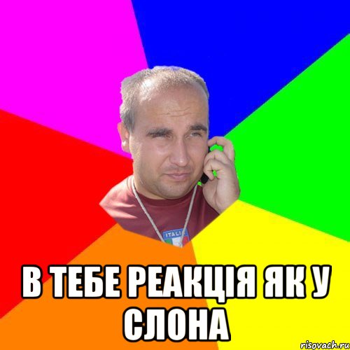  в тебе реакція як у слона