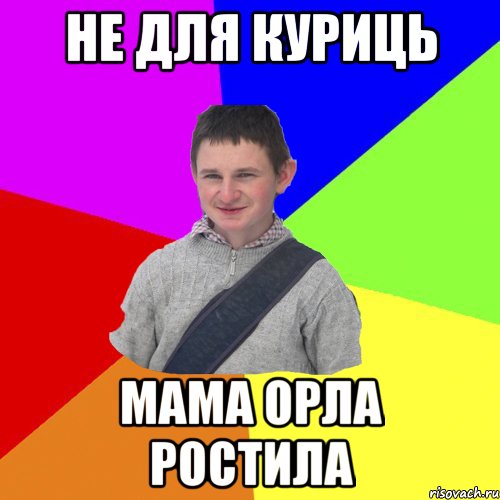 не для куриць мама орла ростила