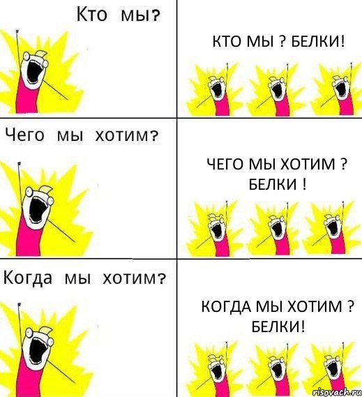 КТО МЫ ? БЕЛКИ! ЧЕГО МЫ ХОТИМ ? БЕЛКИ ! КОГДА МЫ ХОТИМ ? БЕЛКИ!, Комикс Что мы хотим