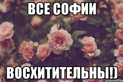 все софии восхитительны!)