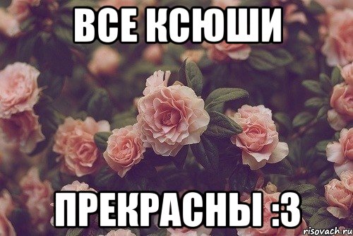 все ксюши прекрасны :3, Мем цветок