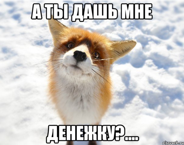 а ты дашь мне денежку?...., Мем цйуу