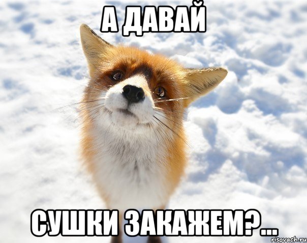 а давай сушки закажем?..., Мем цйуу