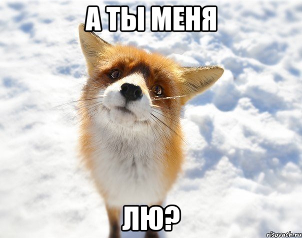 а ты меня лю?, Мем цйуу