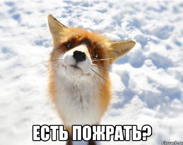  есть пожрать?, Мем цйуу