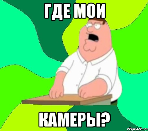 где мои КАМЕРЫ?, Мем  Да всем насрать (Гриффин)