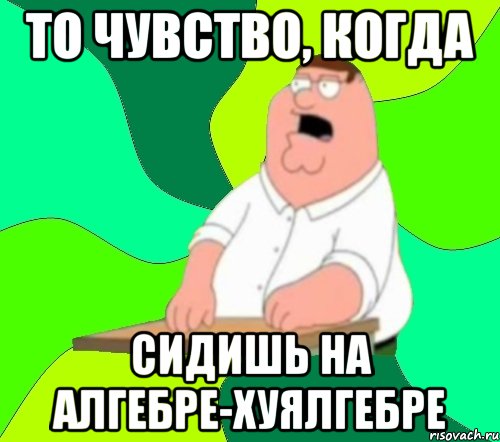 то чувство, когда СИДИШЬ НА АЛГЕБРЕ-ХУЯЛГЕБРЕ, Мем  Да всем насрать (Гриффин)